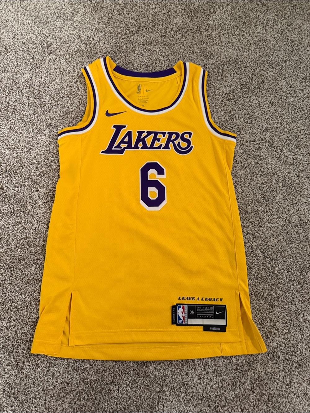 Nike Los Angeles Lakers Purple & Yellow #6 Basketball Jersey